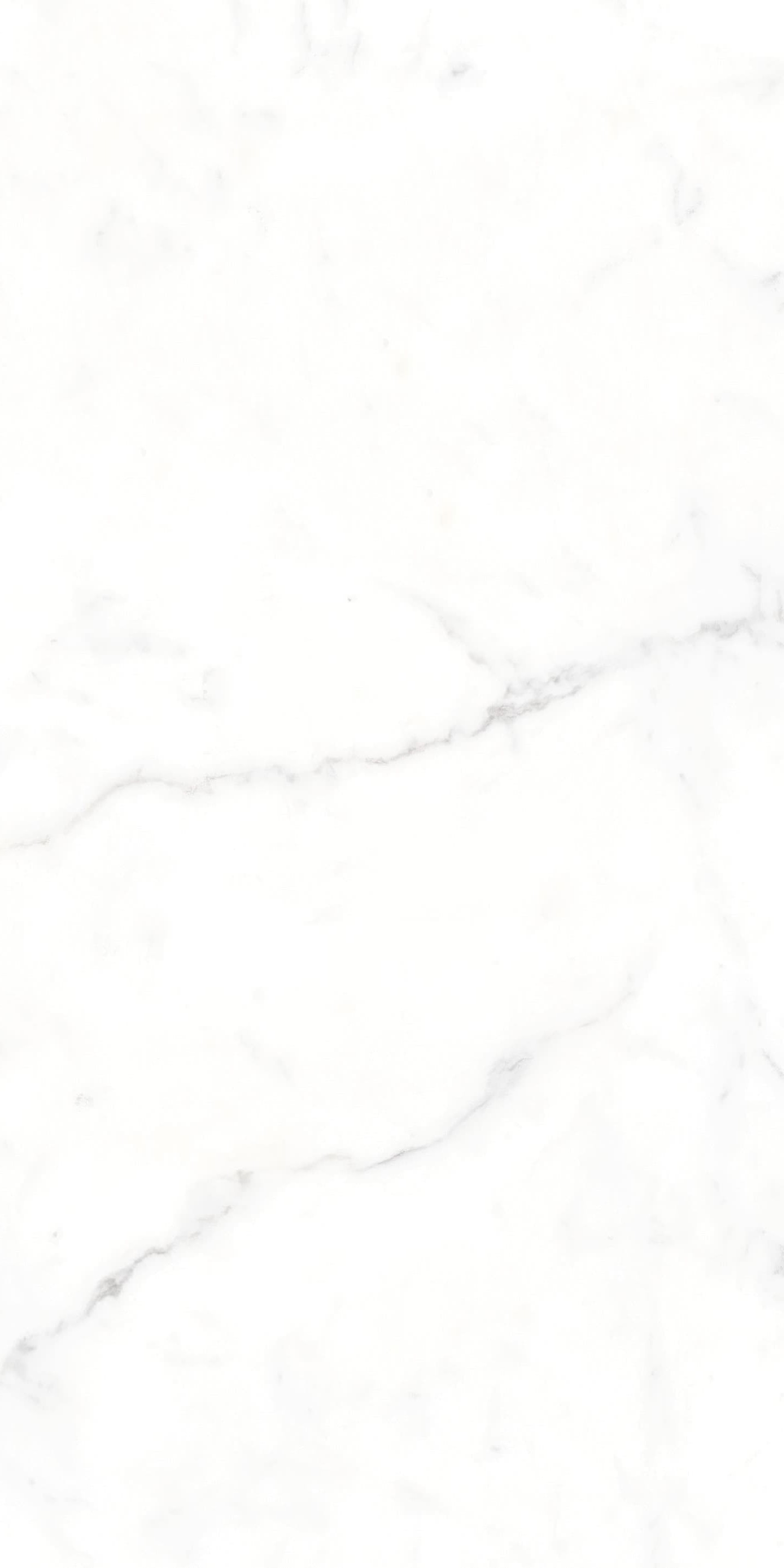 AB945303 大纹雪花白