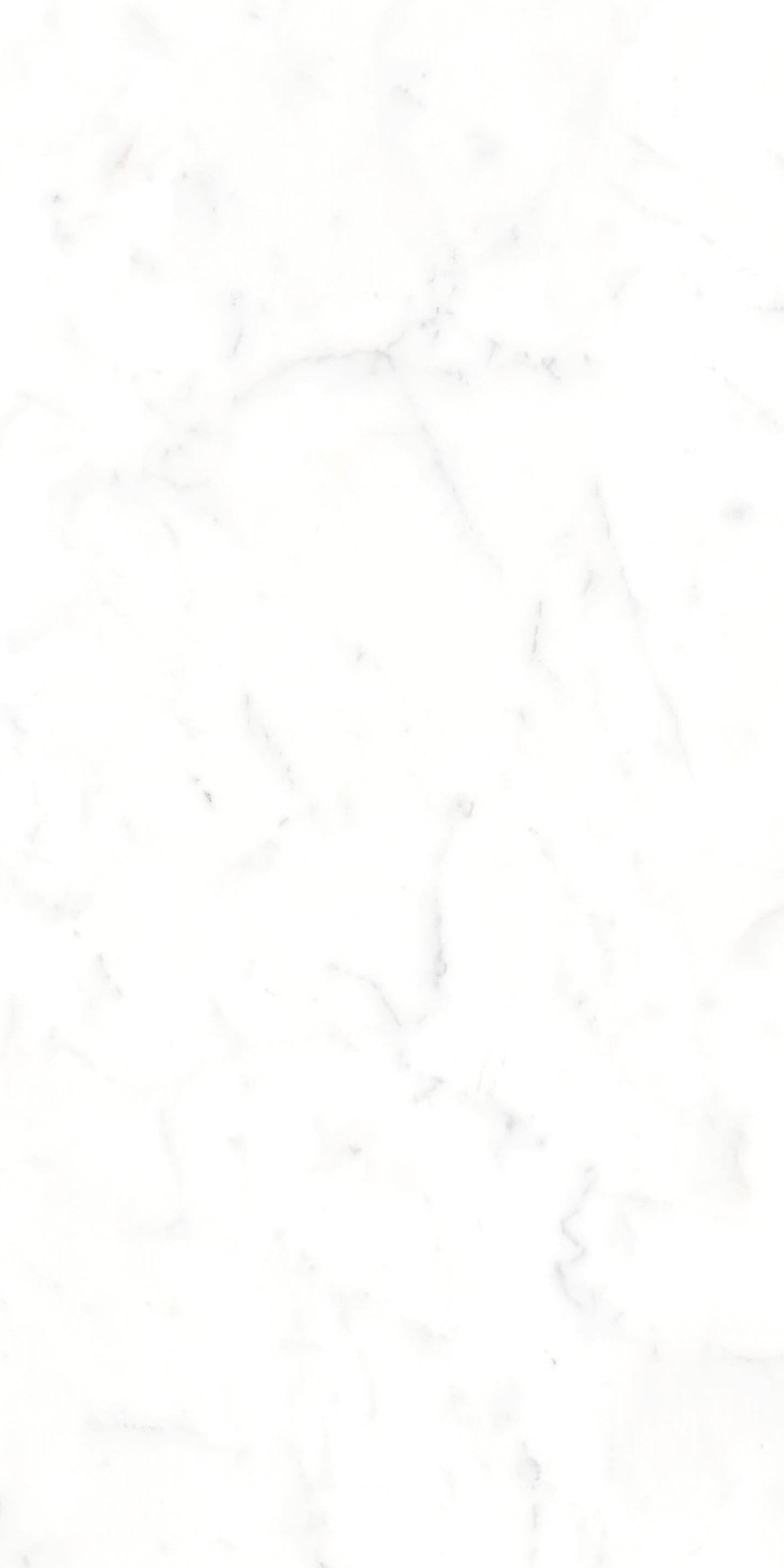 AB945303 大纹雪花白