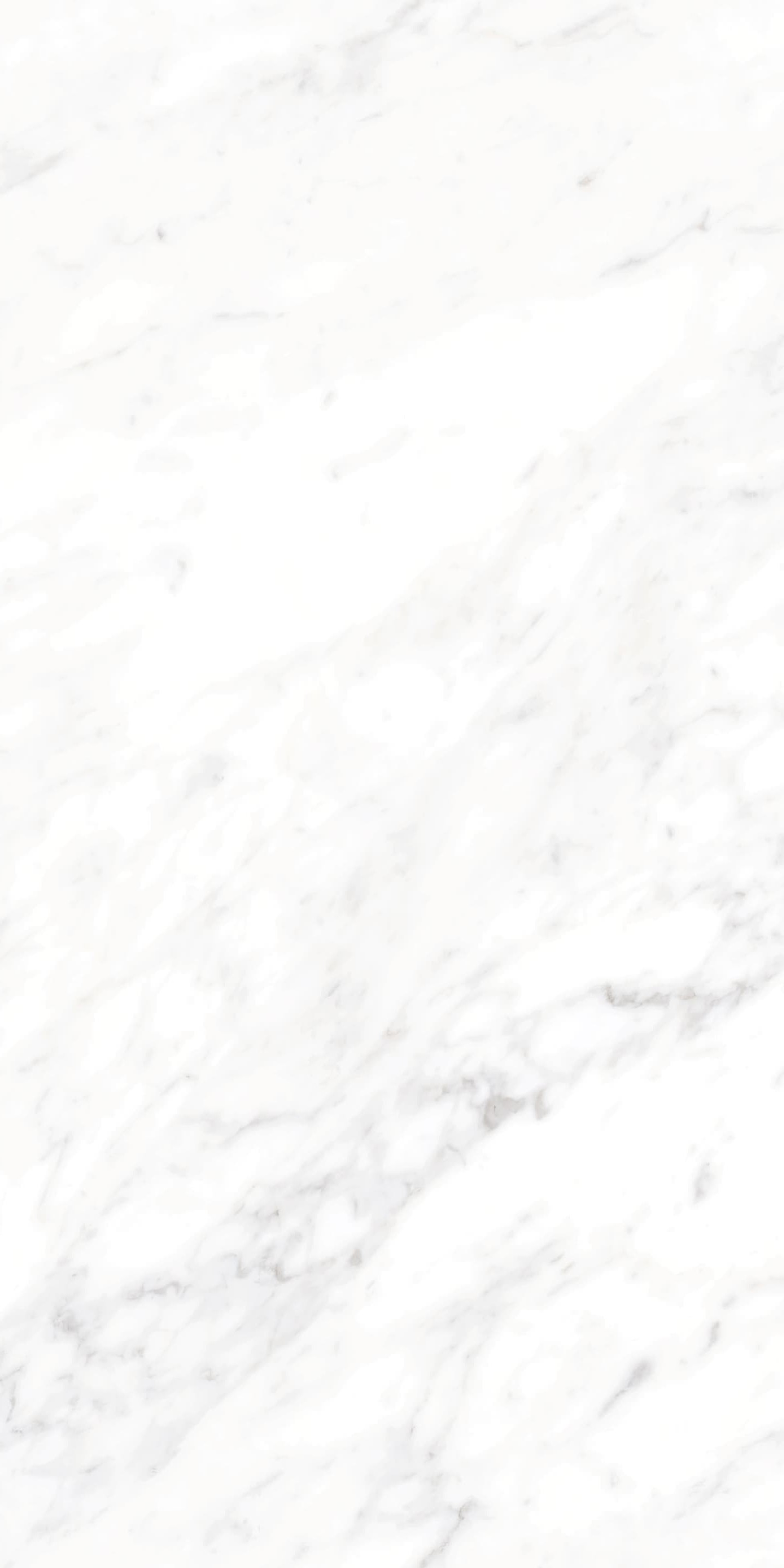 AB945310 细纹雪花白