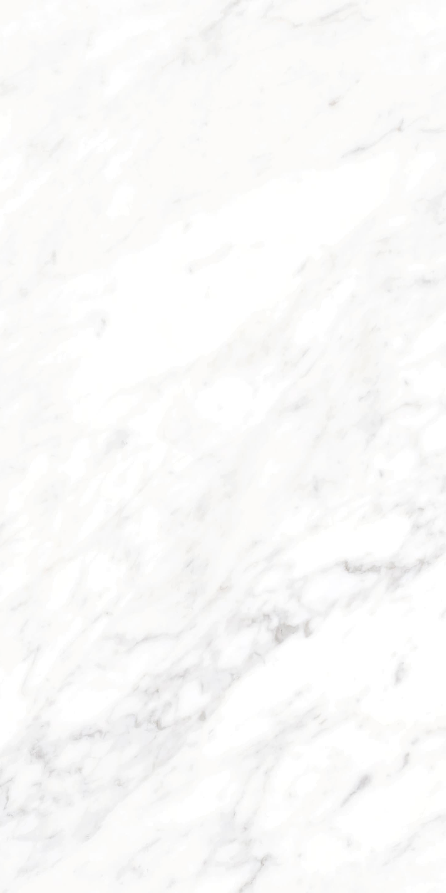 AB945310 细纹雪花白