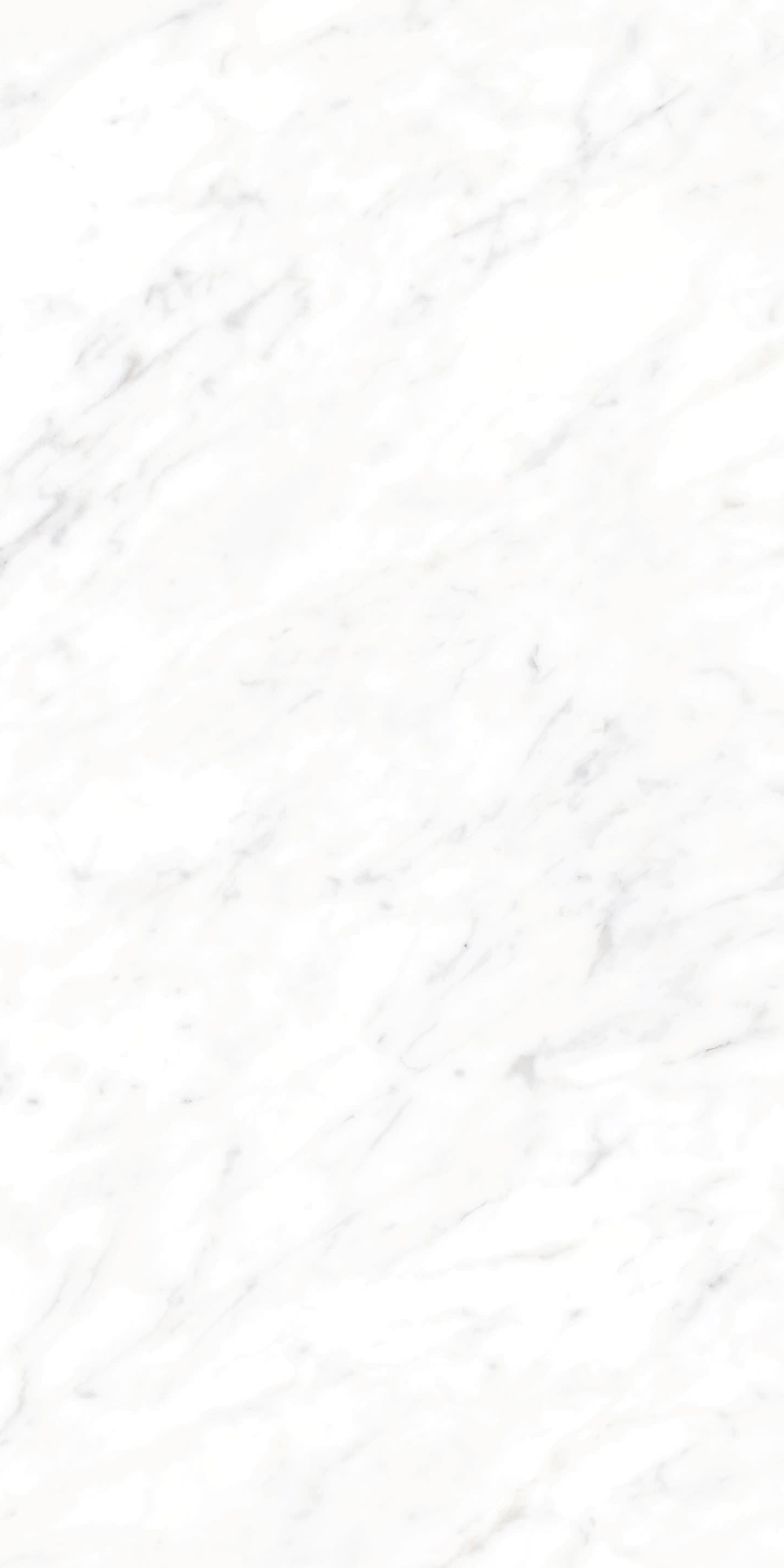 AB945310 细纹雪花白