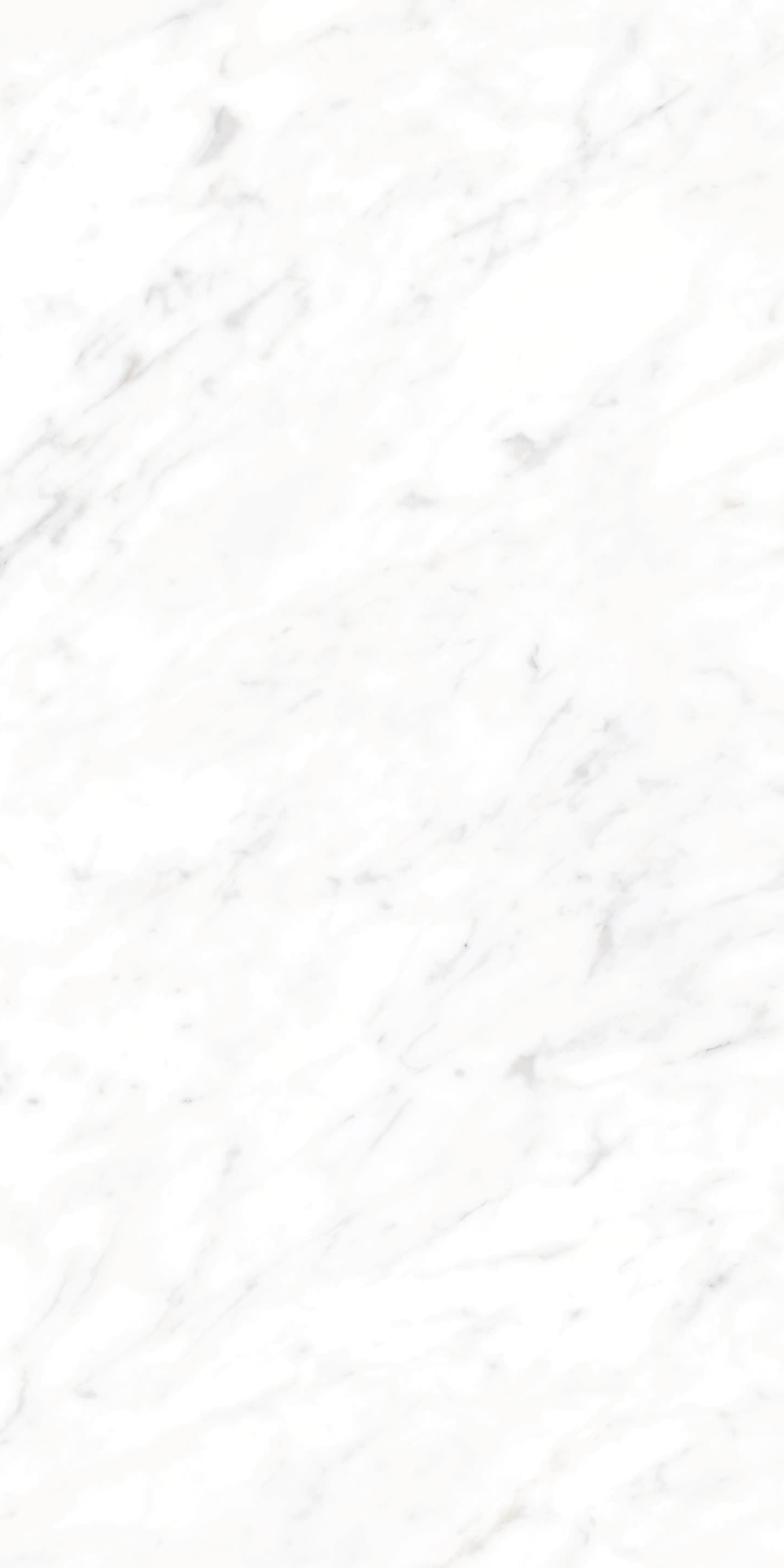 AB945310 细纹雪花白