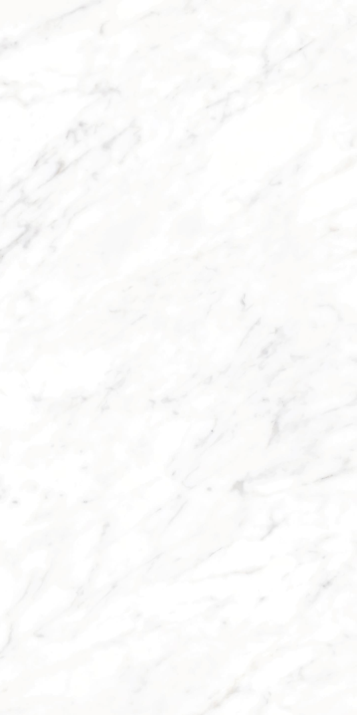 AB945310 细纹雪花白