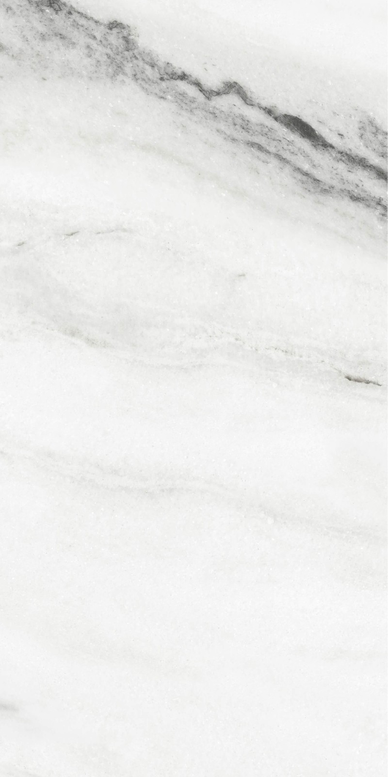 945ABK1007 纪梵希白