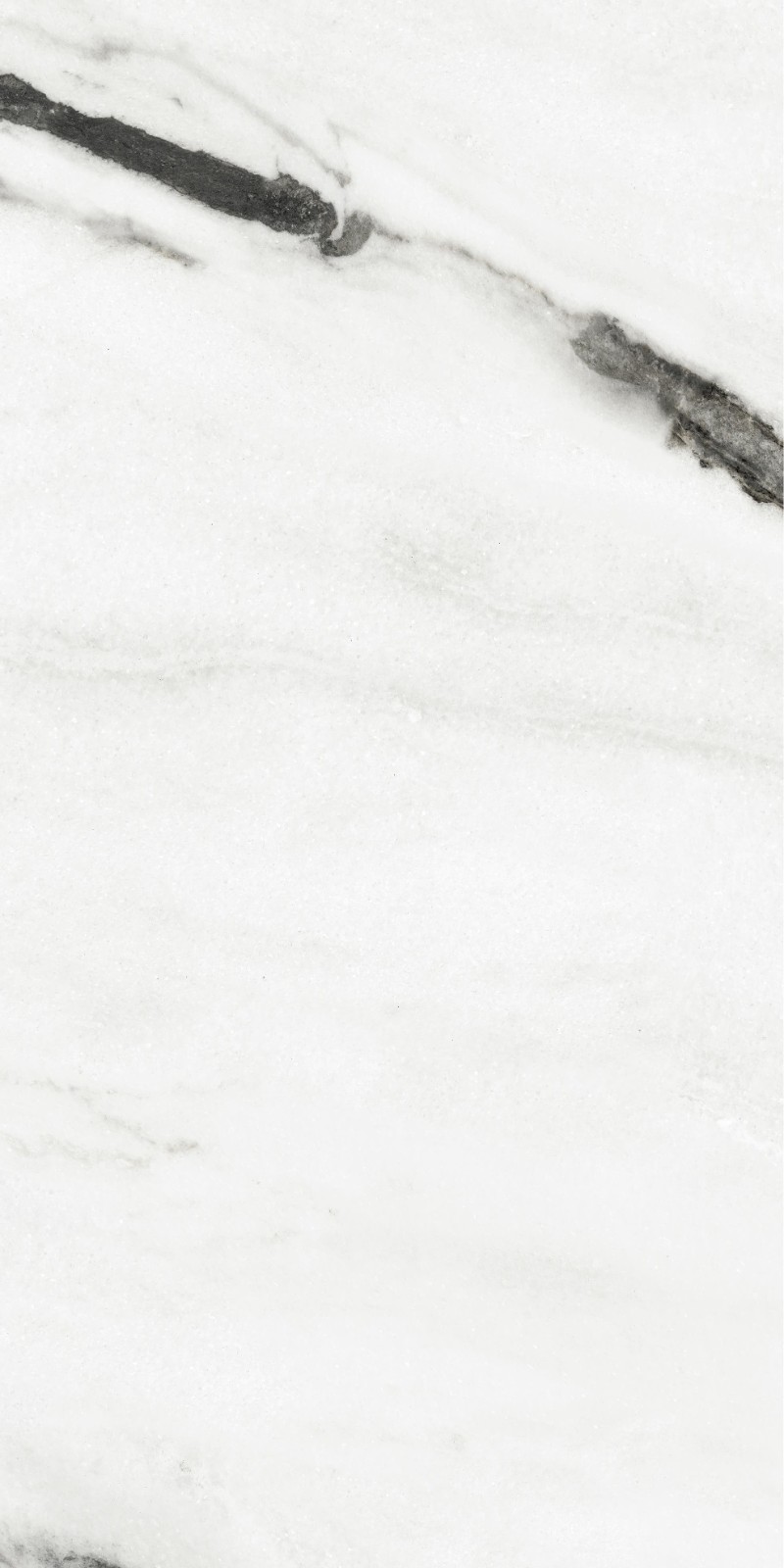 945ABK1007 纪梵希白