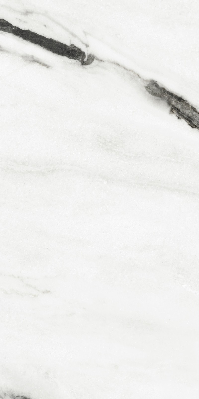 945ABK1007 纪梵希白