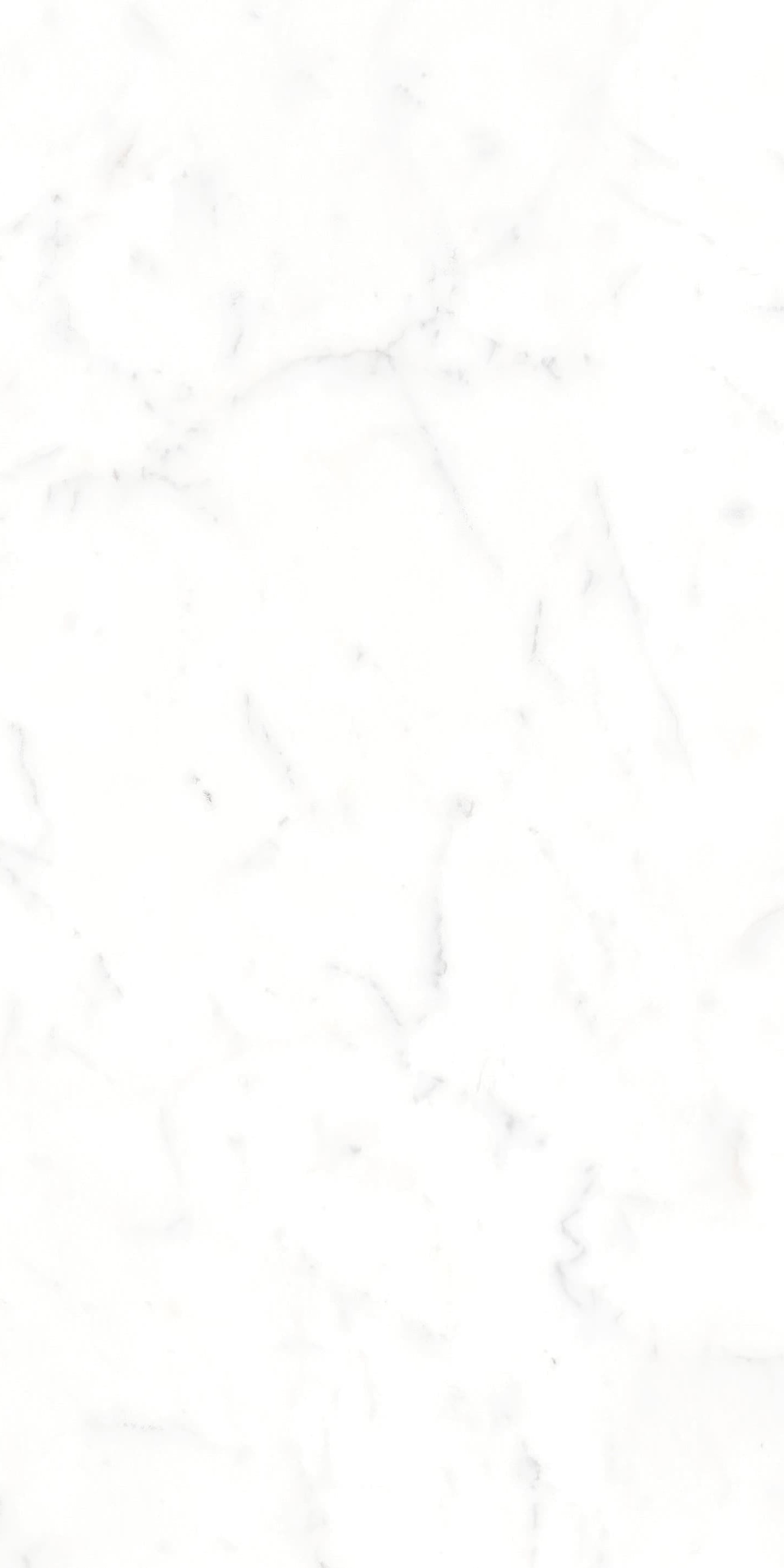 AB945303 大纹雪花白