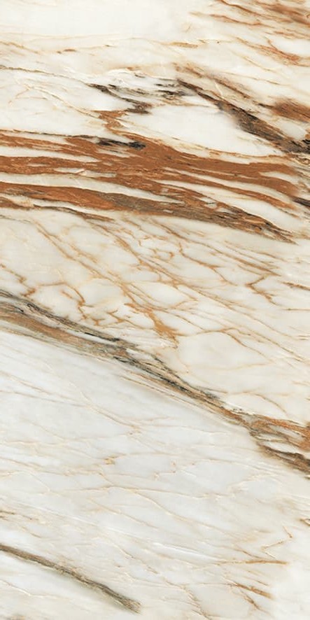 ABK94532C 宝格丽金