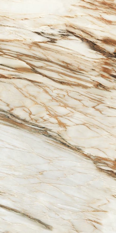 ABK94532C 宝格丽金