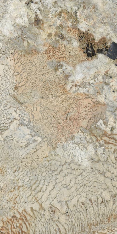 ABK94551C 卡地亚金