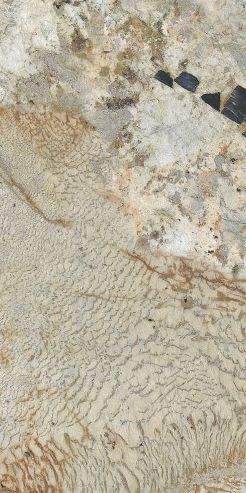 ABK94551C 卡地亚金