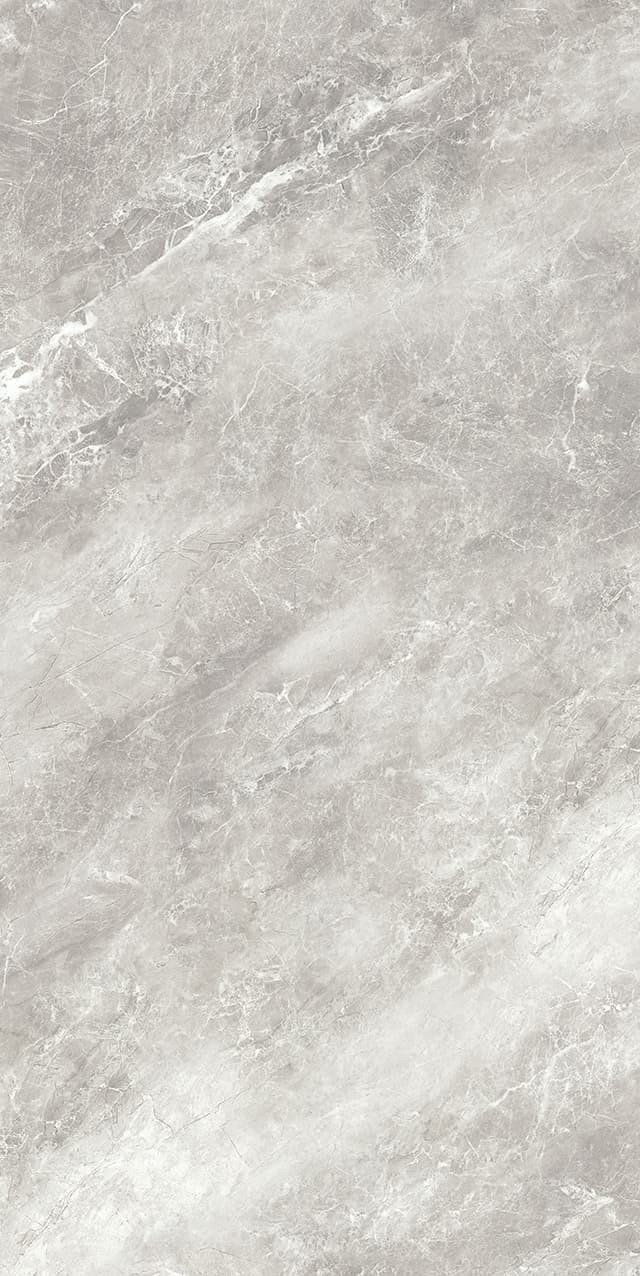 AB-YB945609-苏格兰灰