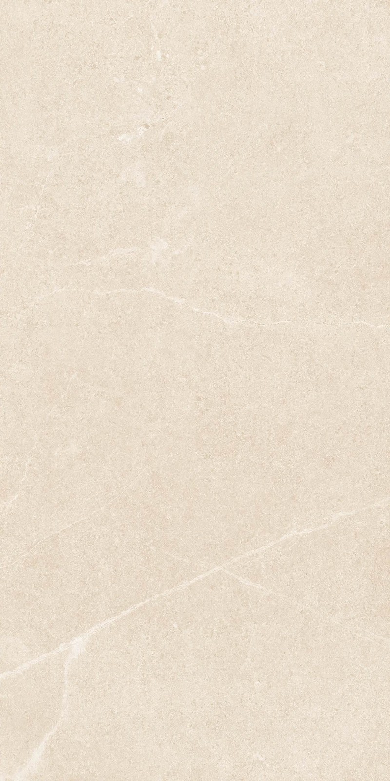 SR945811-文莱米黄