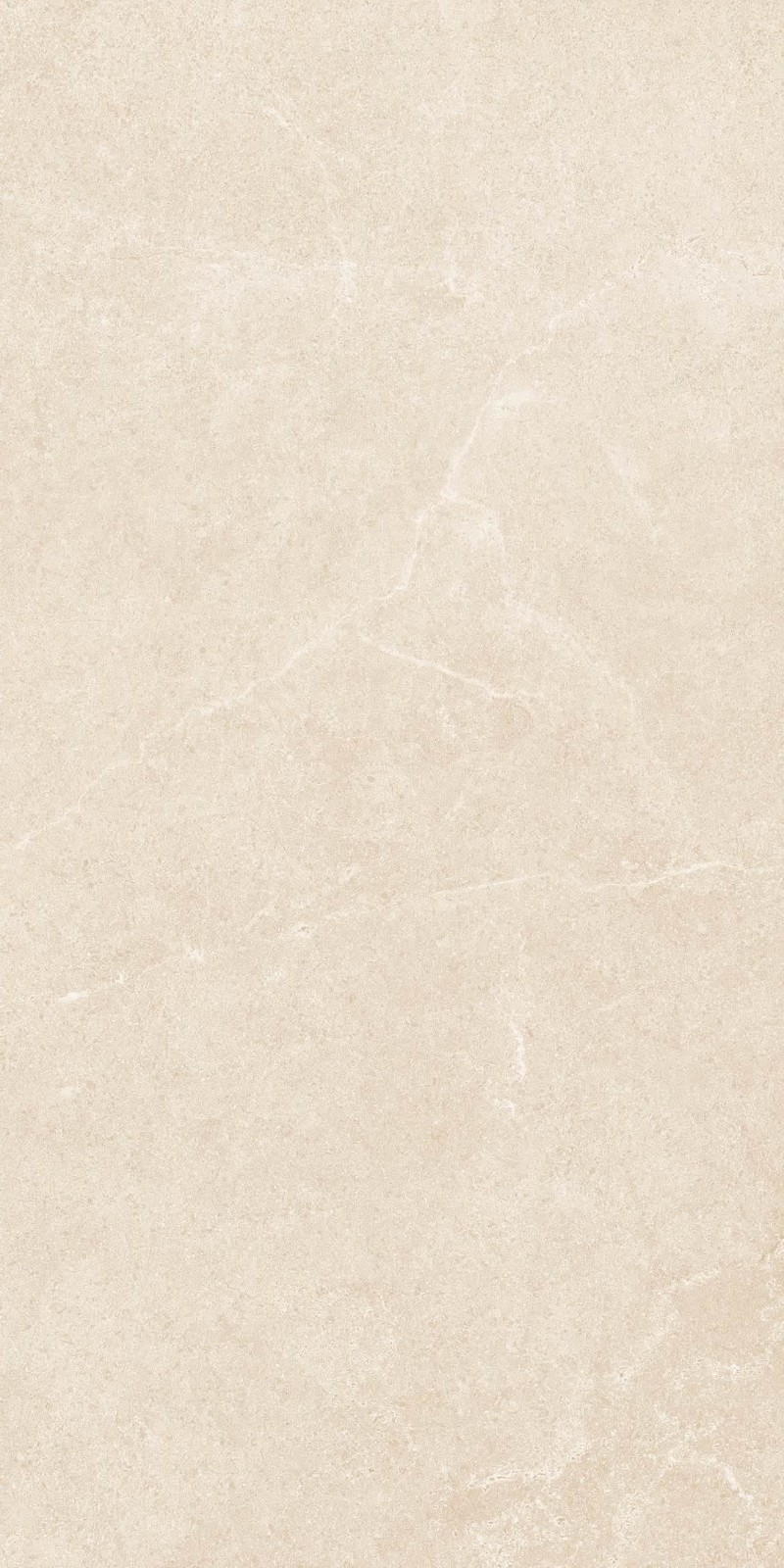 SR945811-文莱米黄