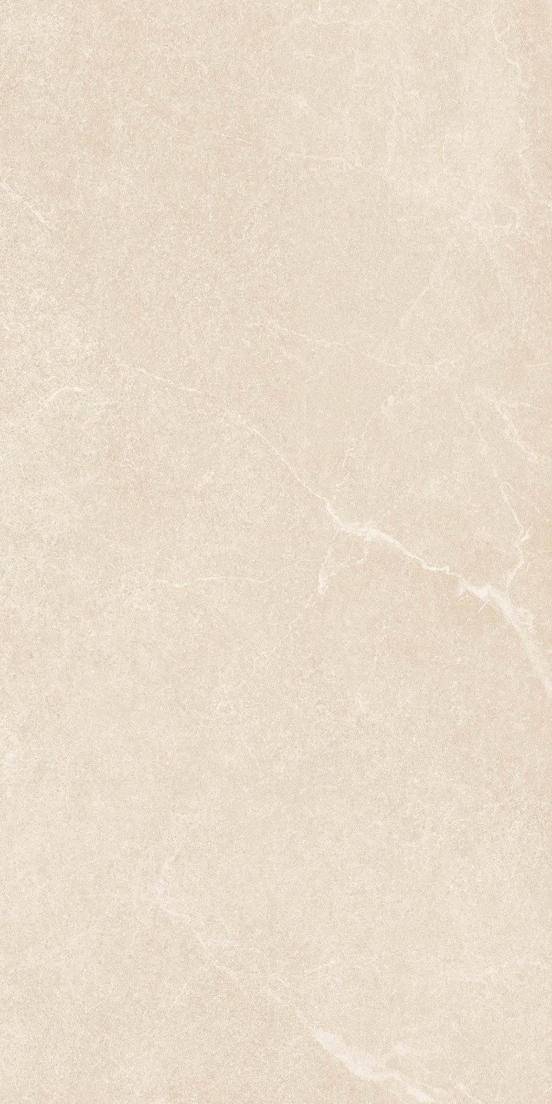 SR945811-文莱米黄