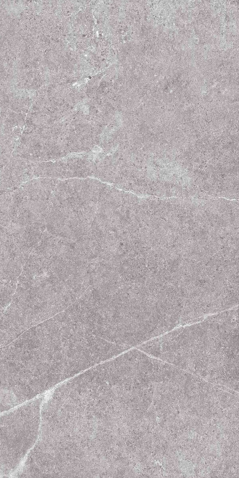 SR945812-文莱浅灰