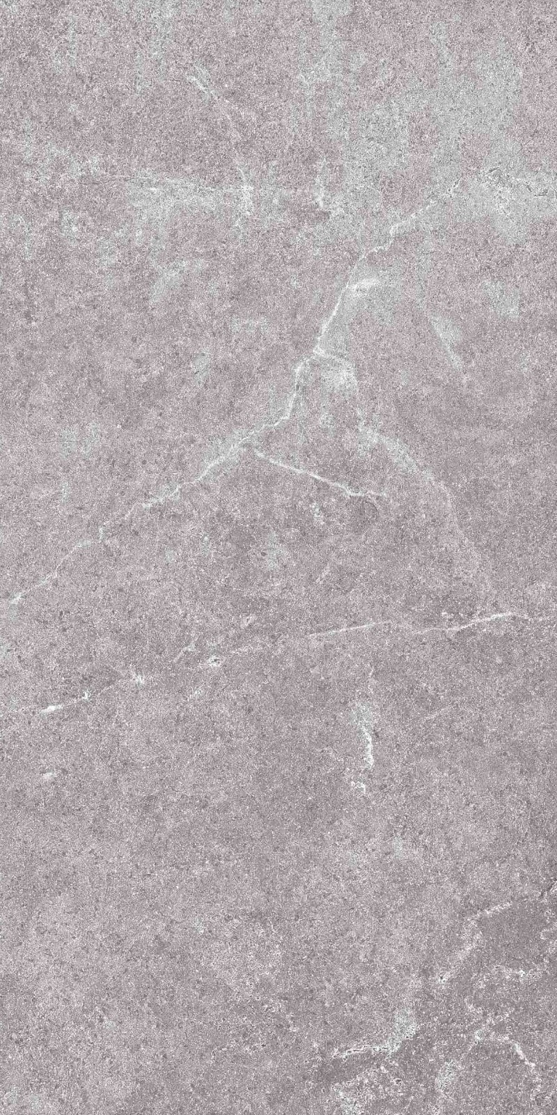 SR945812-文莱浅灰