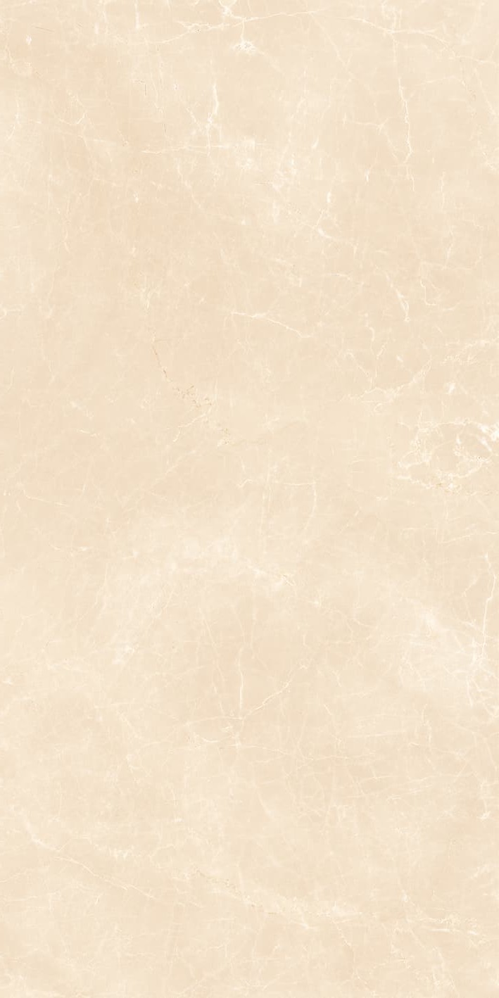 945Z1191-945ZR1192-945ZKR1193-高加索米黄