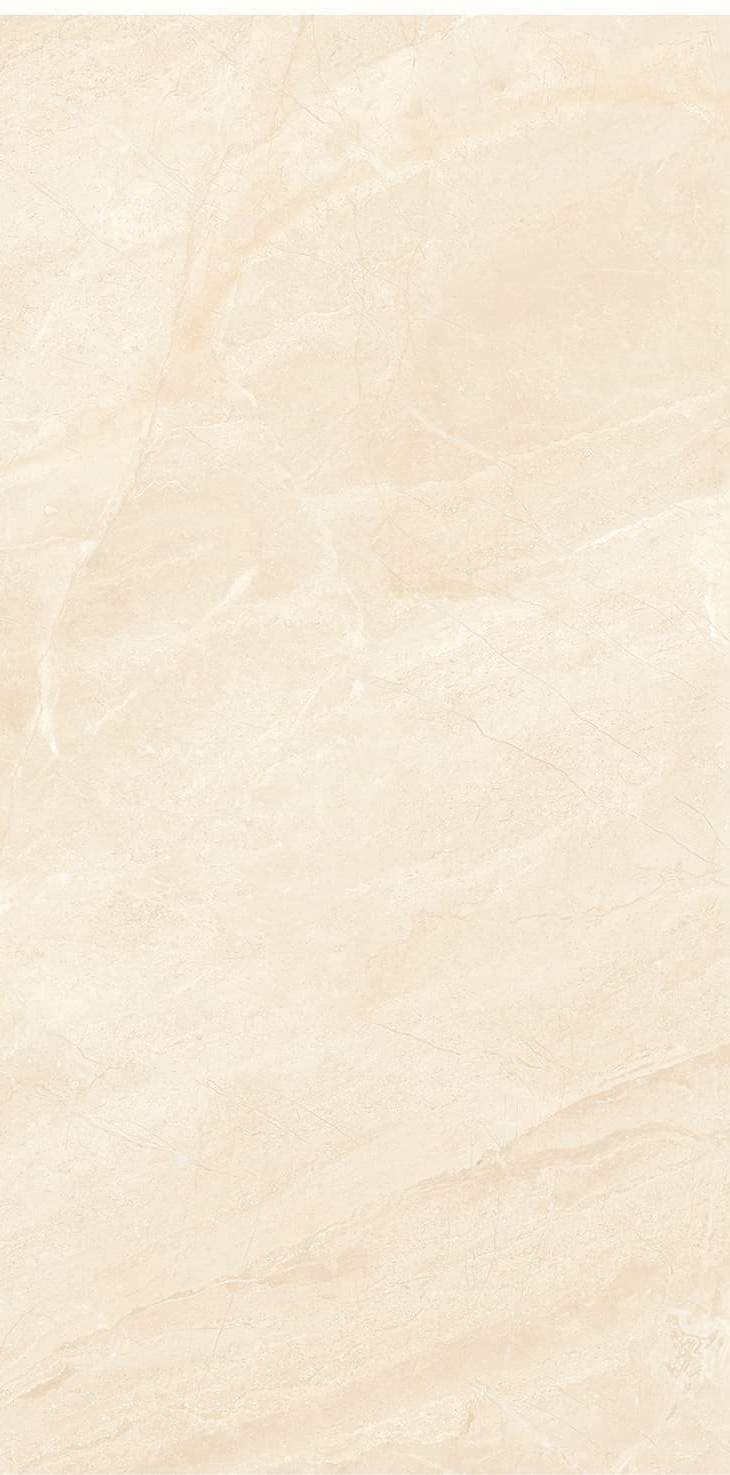 945Z1197-945ZR1198-945ZKR1199-落基米黄