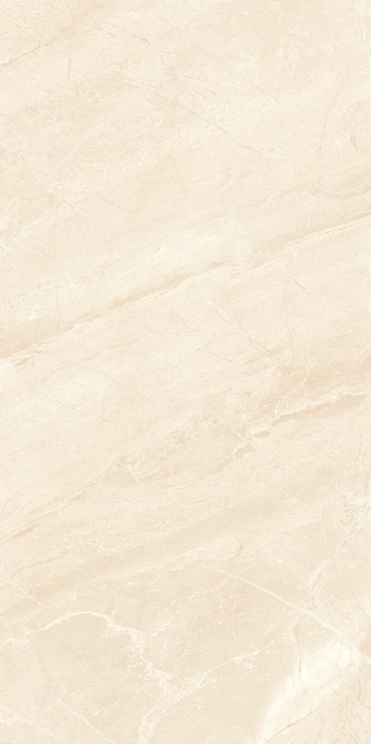 945Z1197-945ZR1198-945ZKR1199-落基米黄