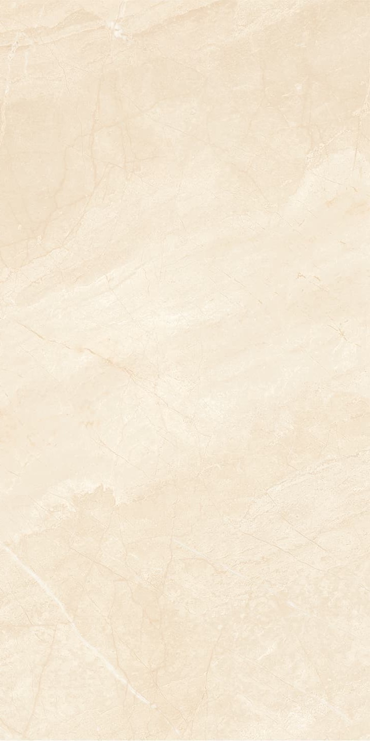 945Z1197-945ZR1198-945ZKR1199-落基米黄