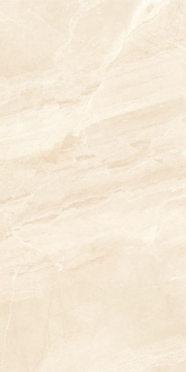 945Z1197-945ZR1198-945ZKR1199-落基米黄