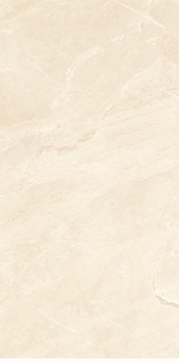 945Z1197-945ZR1198-945ZKR1199-落基米黄