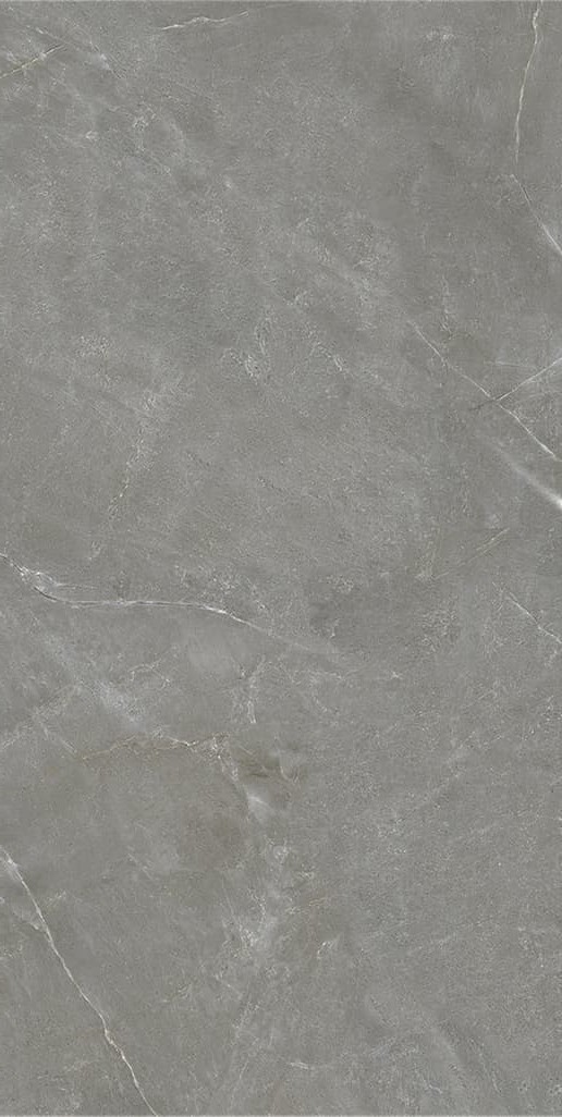 945SR1070  巴宝莉深灰