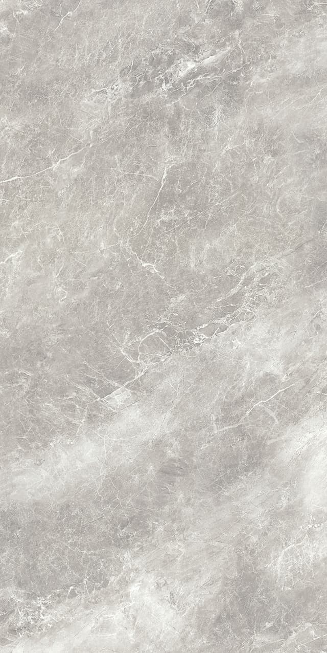 AB-YB945609-苏格兰灰