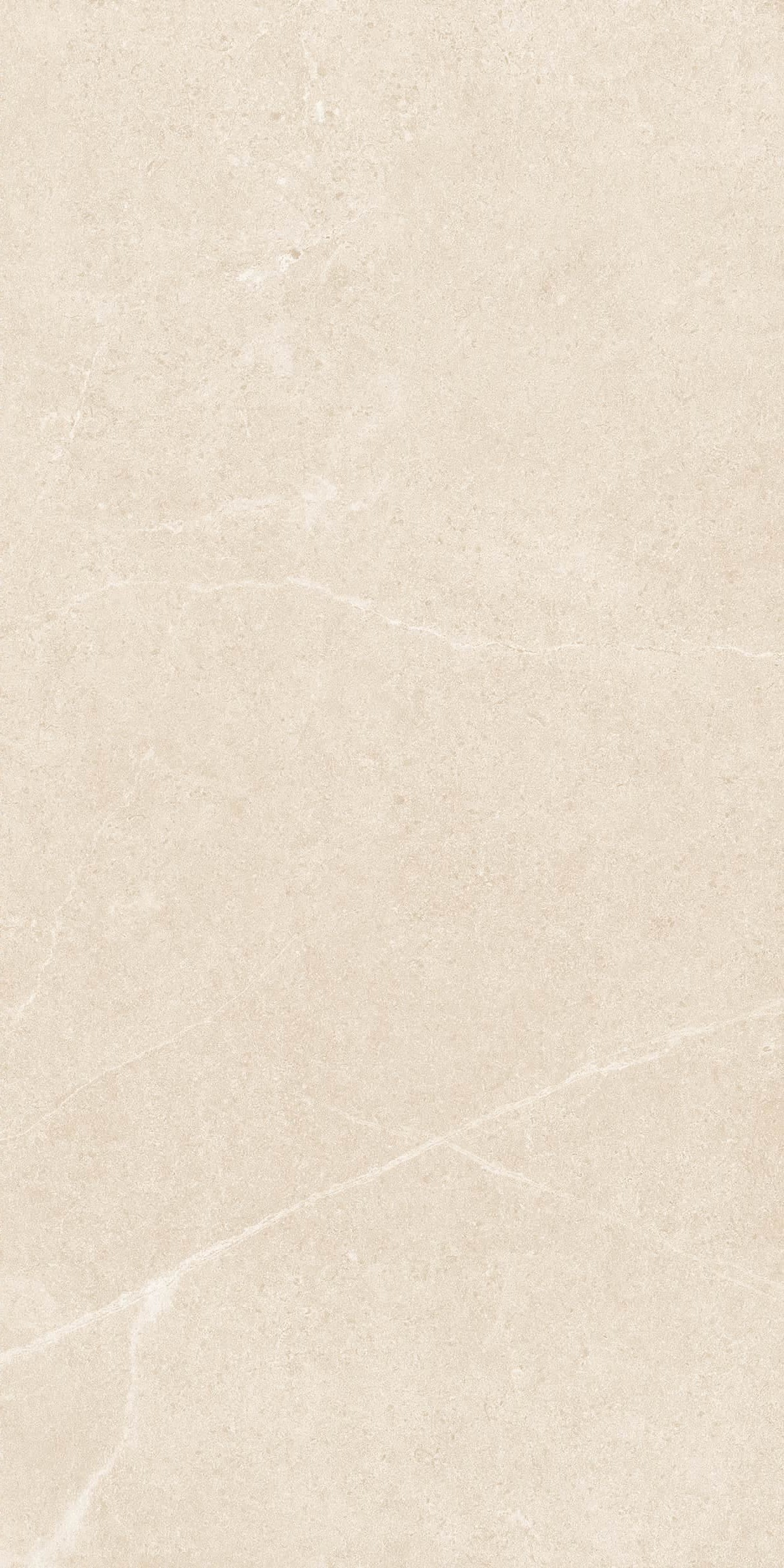 SR945811-文莱米黄