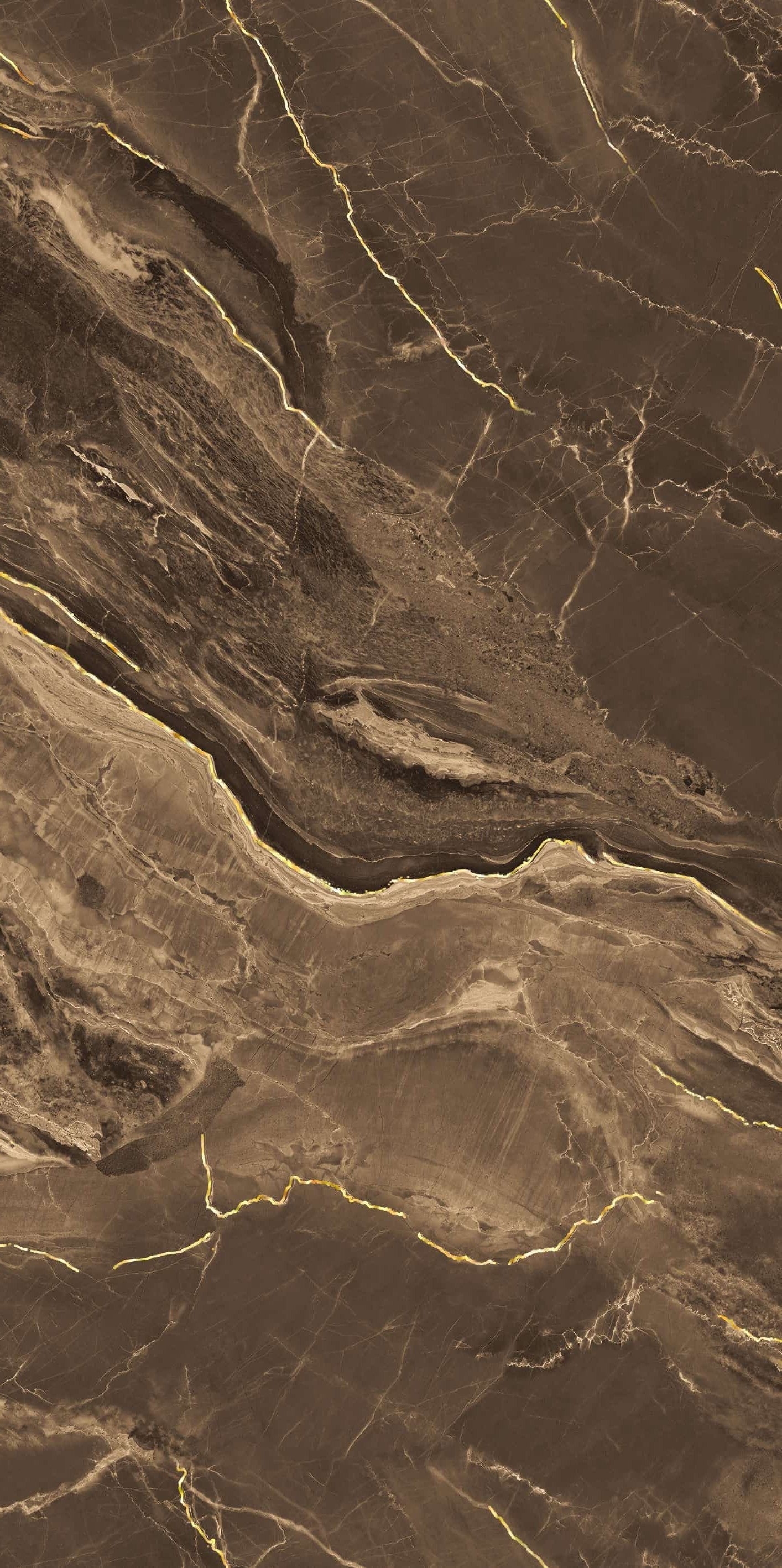 999k94506B-南非金