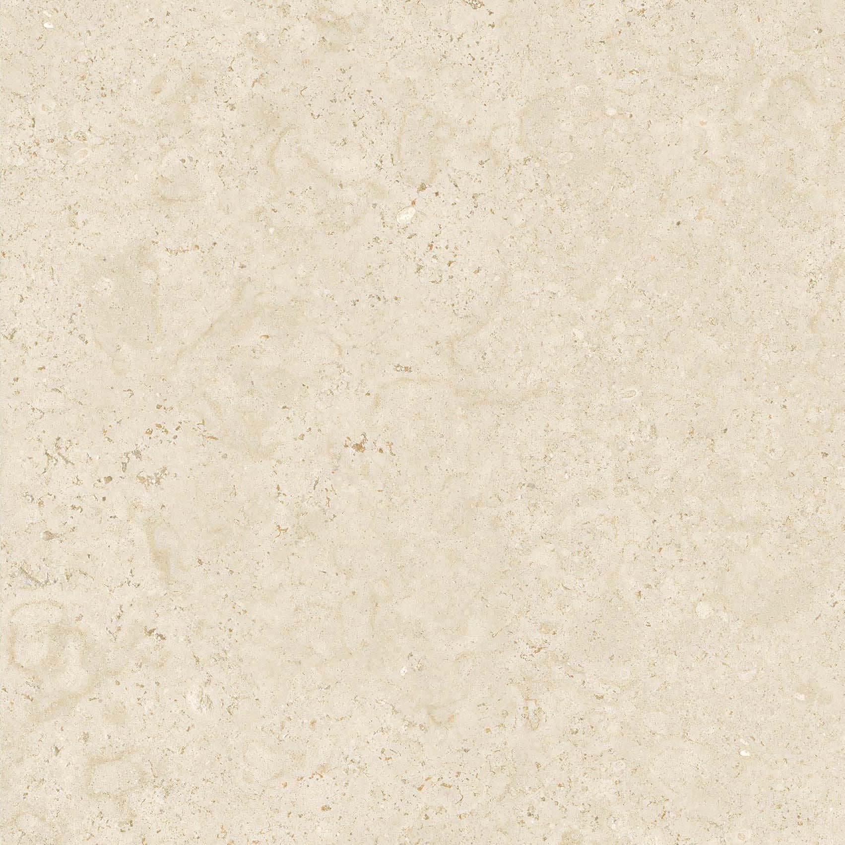 FH66826 莎士比亚