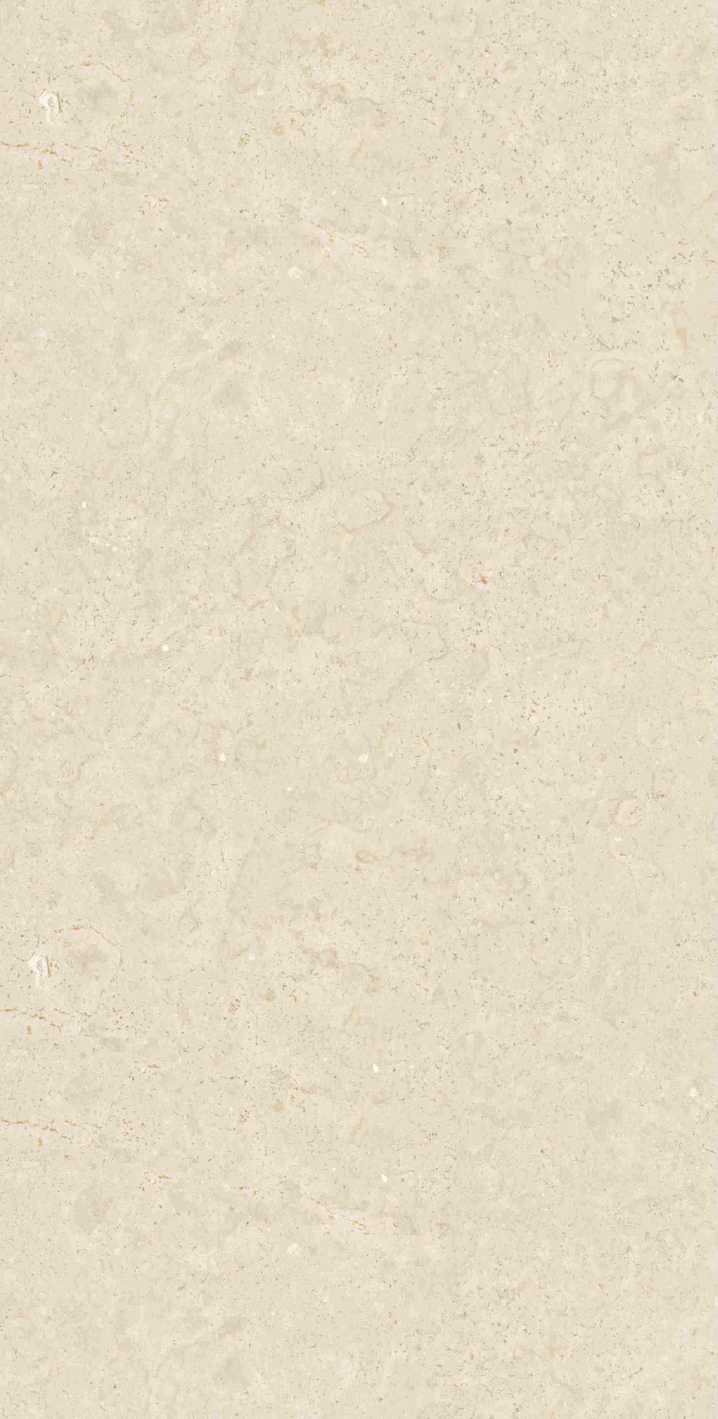 YSL715656 莎士比亚