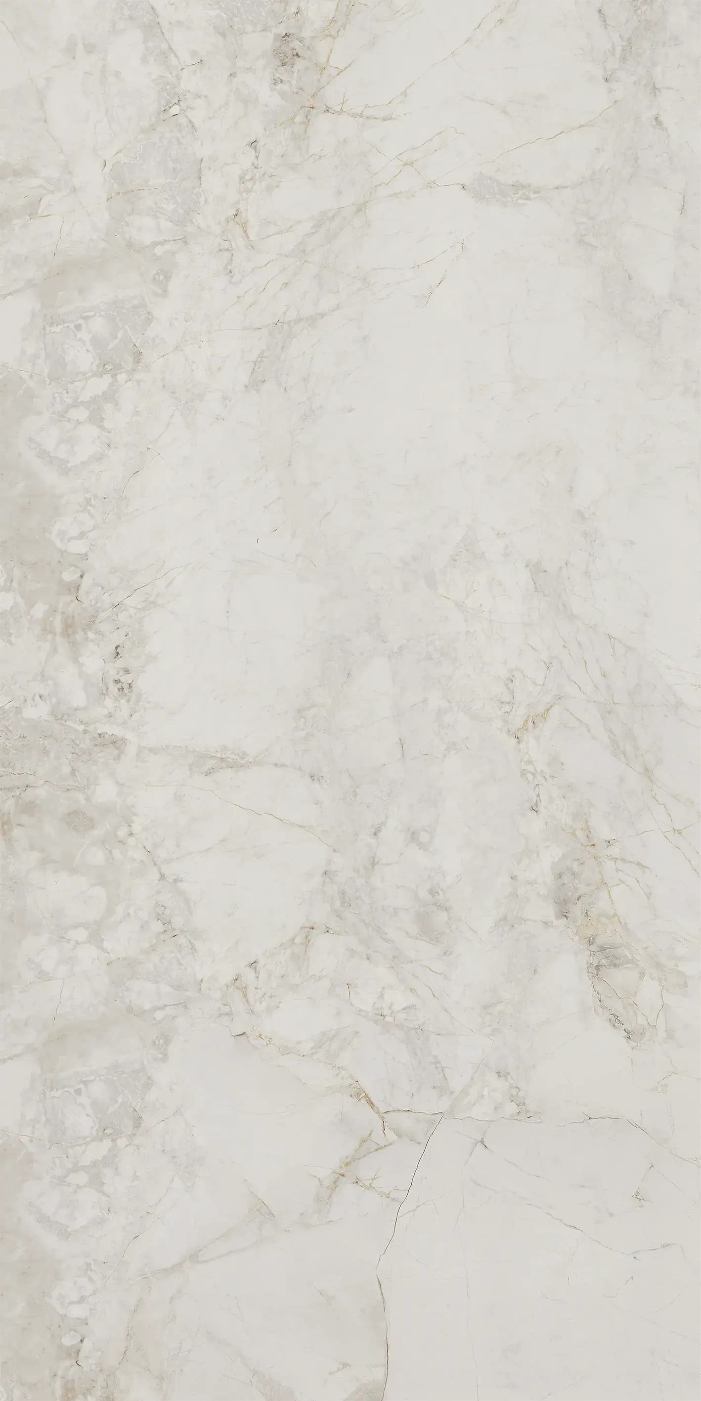 715Z1188-715ZR1189-715ZKR1190 阿尔卑斯白