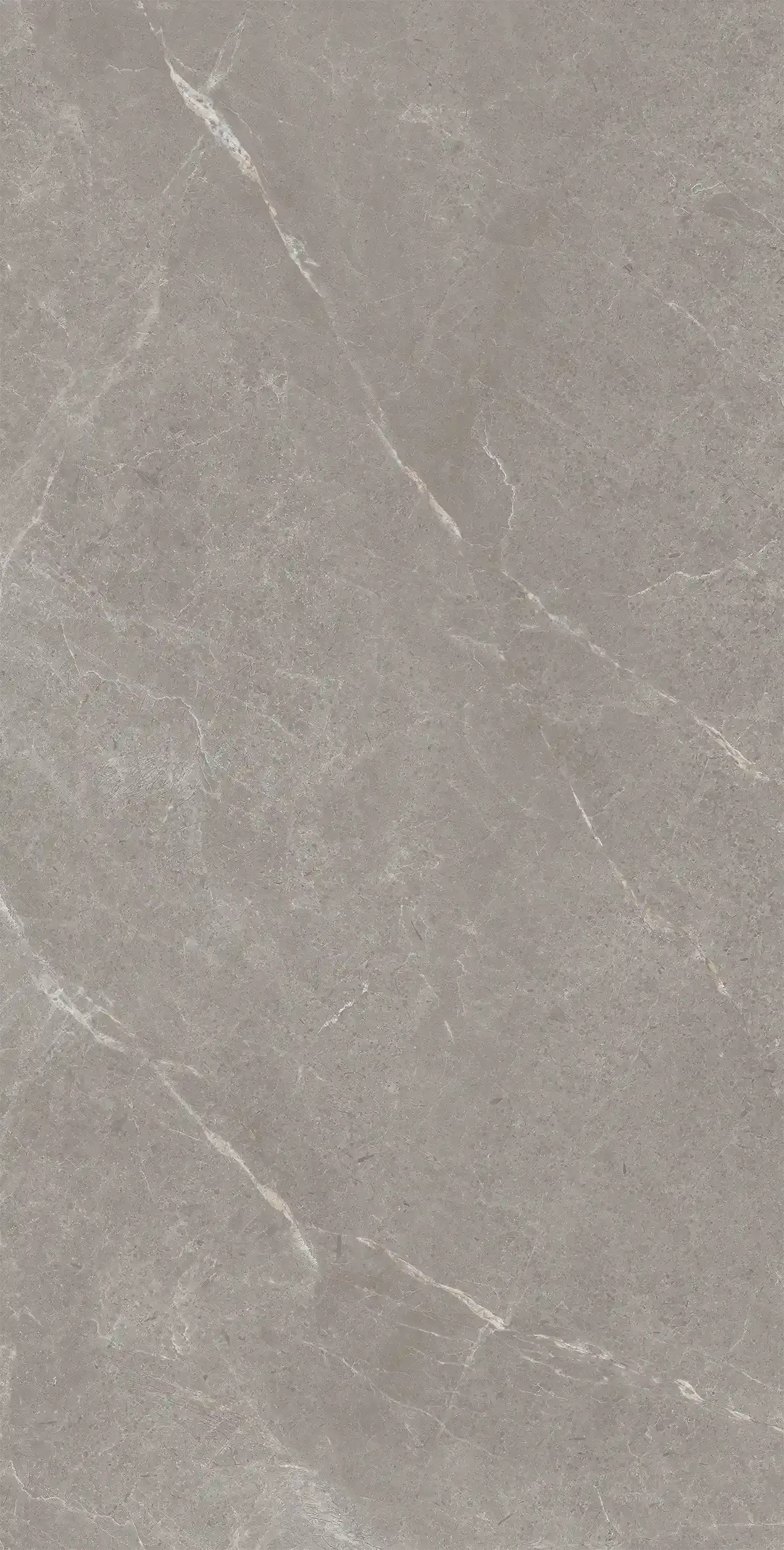 715GT1209普多拉灰