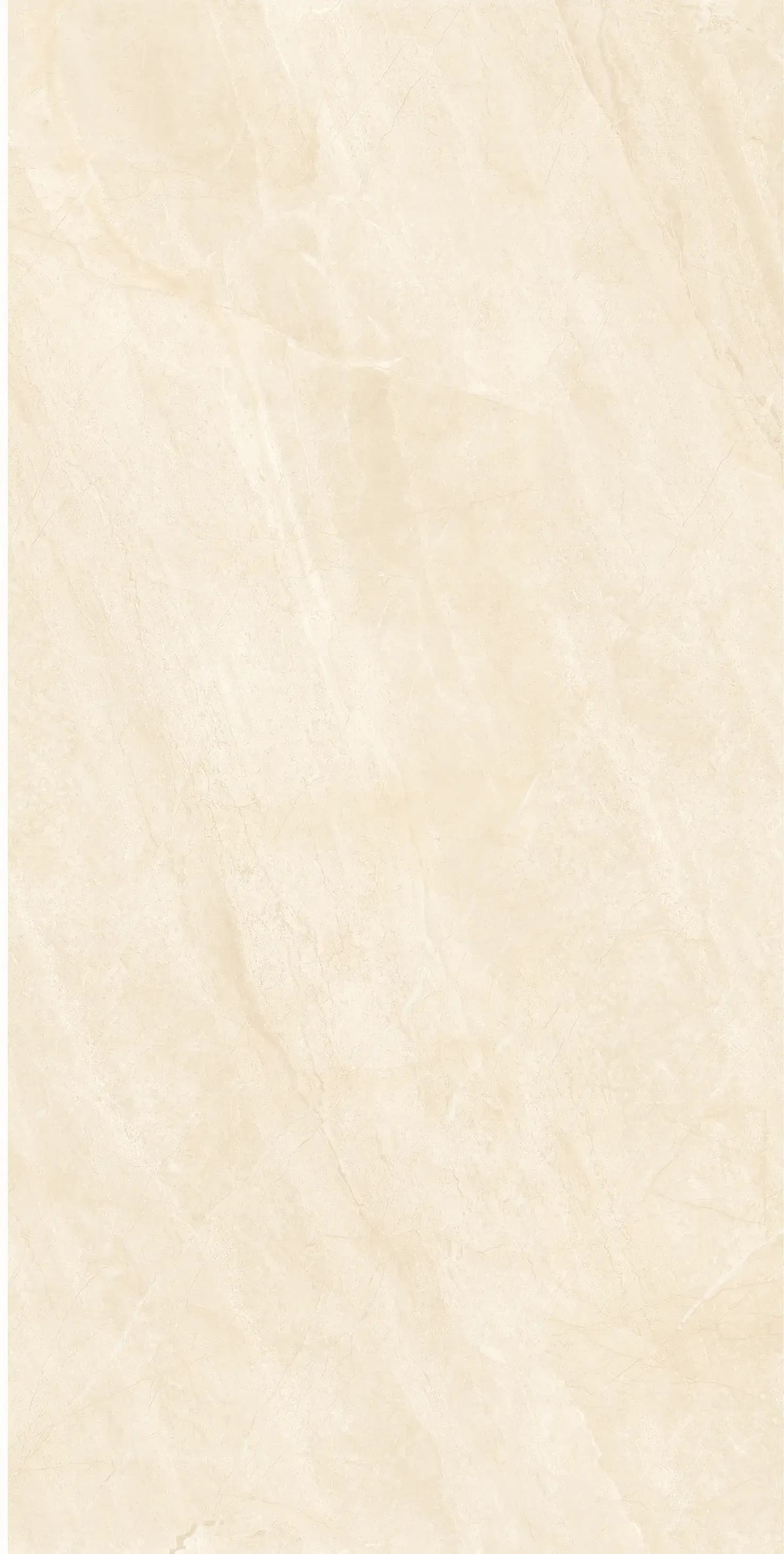 715Z1197-715ZR1198-715ZKR1199 落基米黄