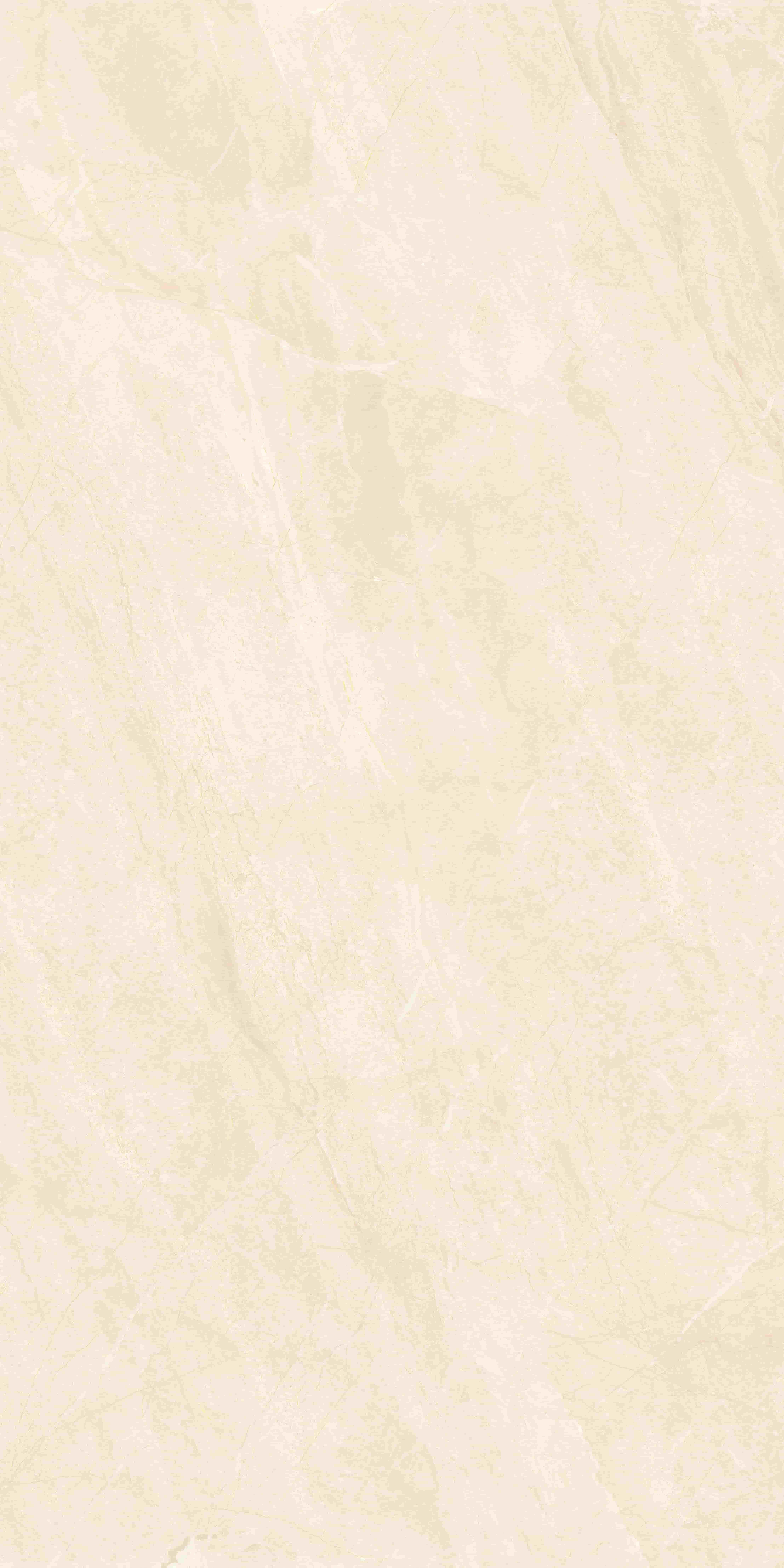 715Z1197-715ZR1198-715ZKR1199 落基米黄