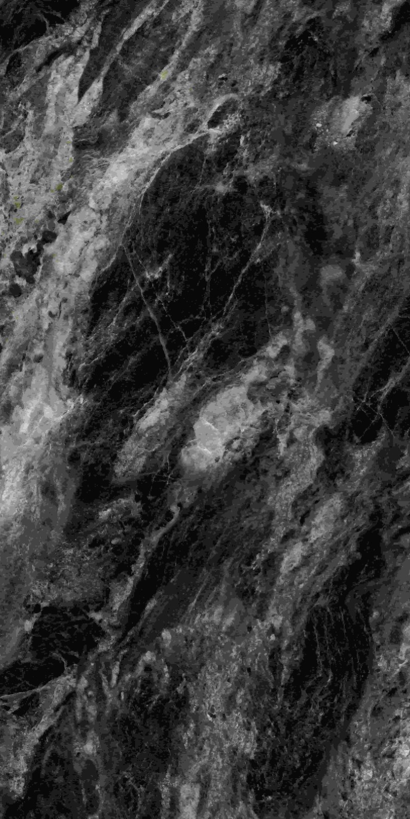 715ABK037 阿玛尼黑金