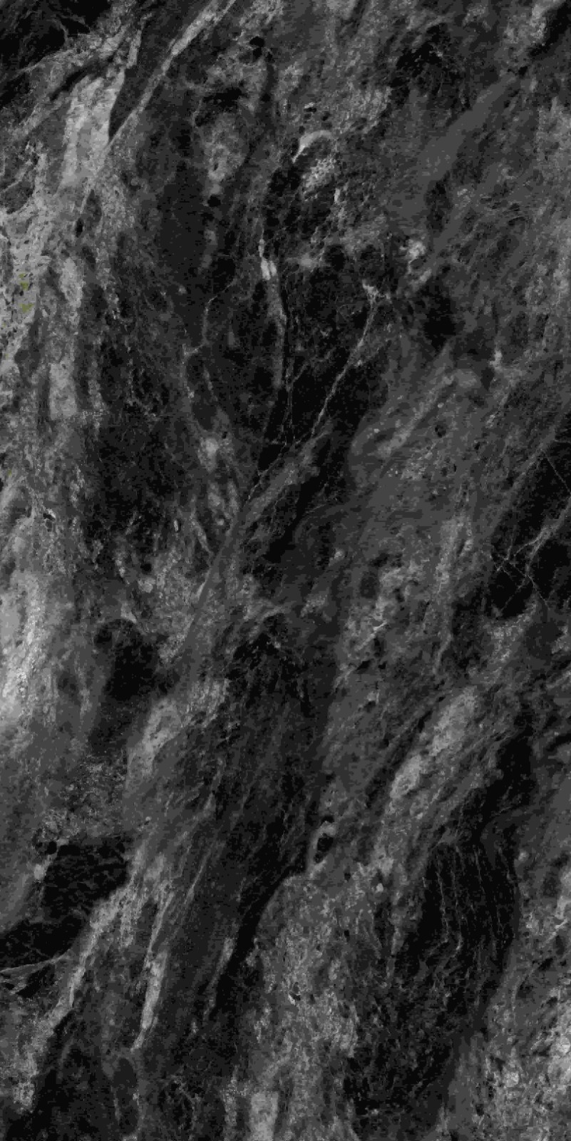 715ABK037 阿玛尼黑金