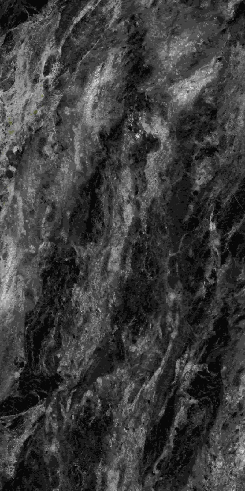 715ABK037 阿玛尼黑金