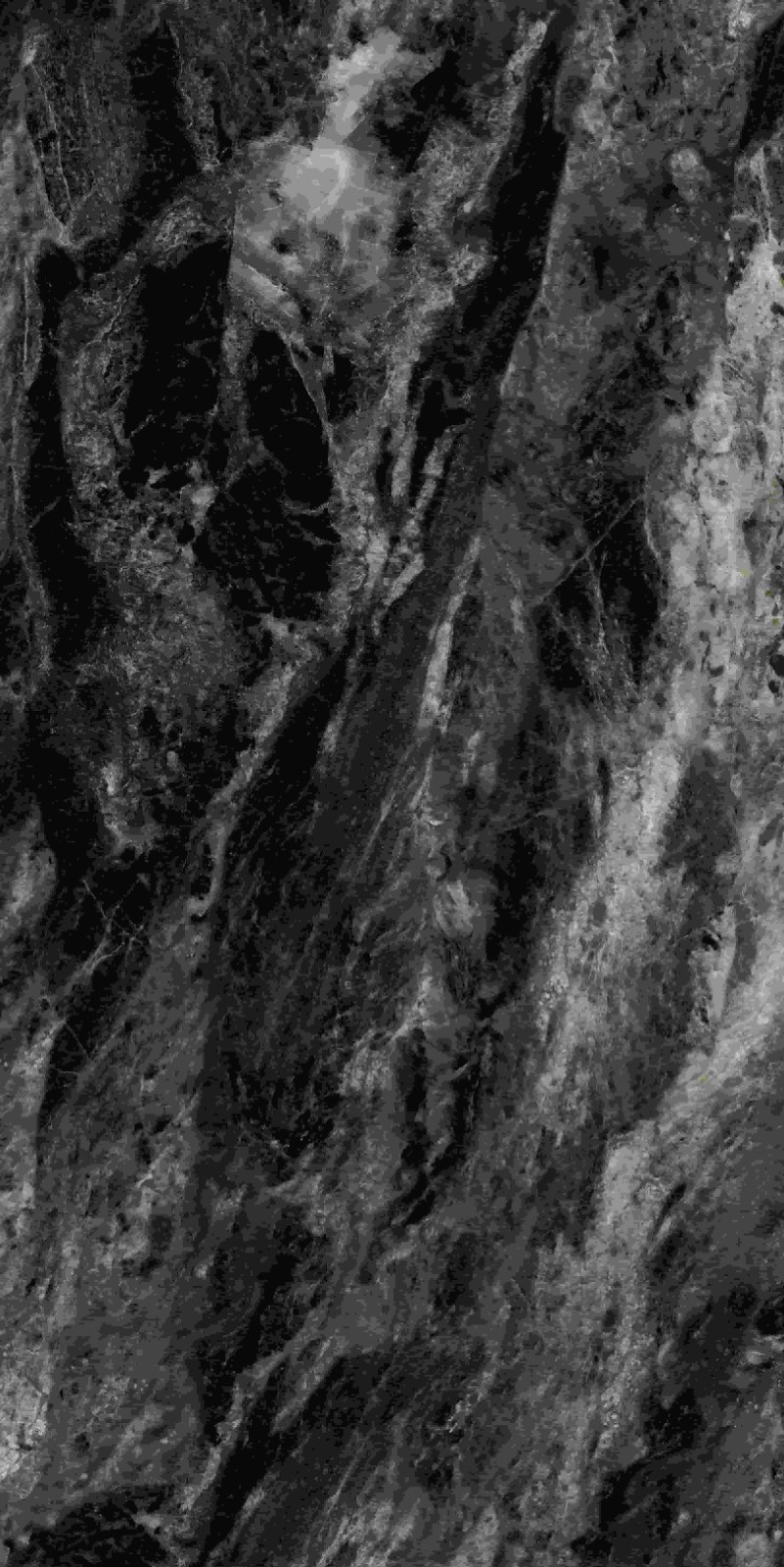 715ABK037 阿玛尼黑金