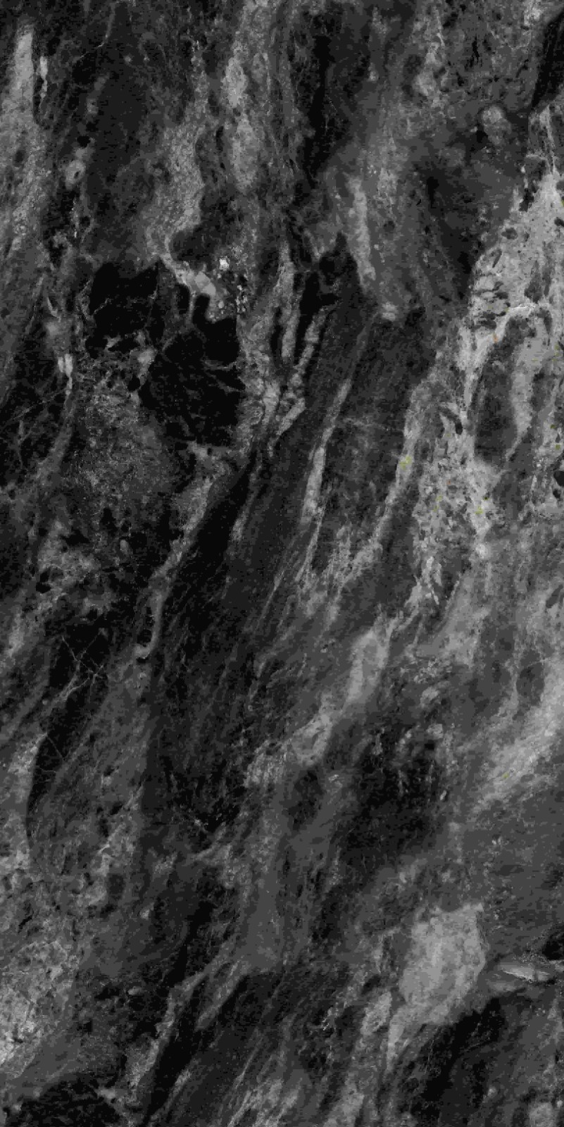 715ABK037 阿玛尼黑金