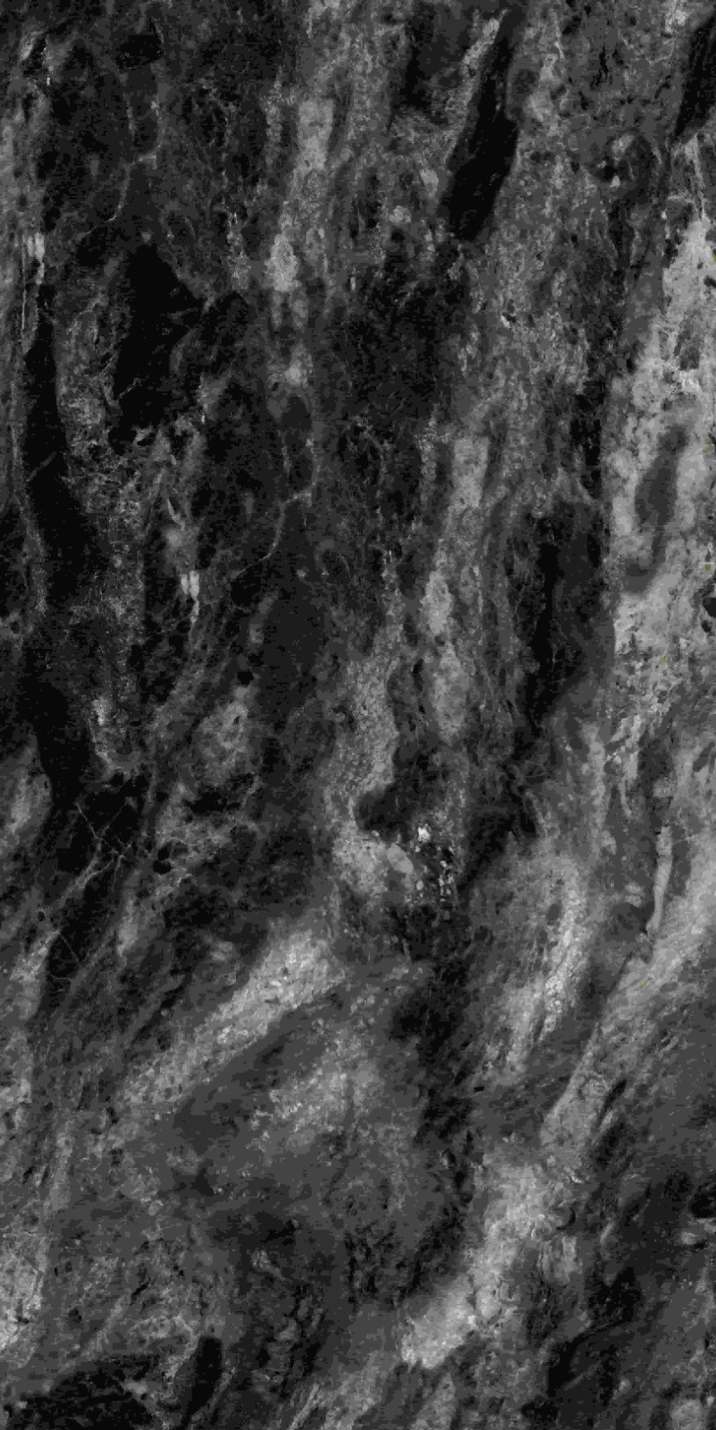 715ABK037 阿玛尼黑金