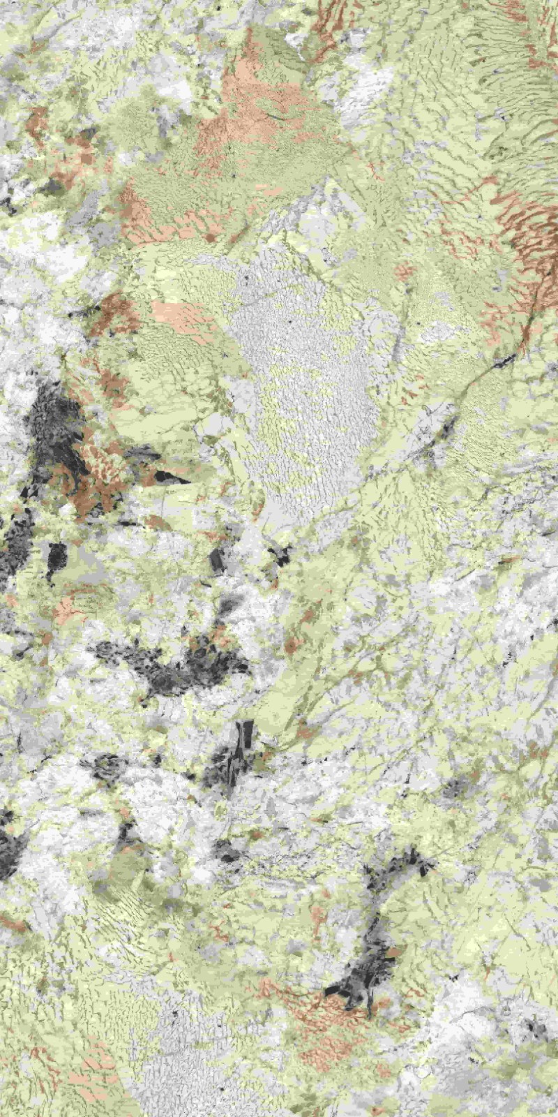 715ABK051 卡地亚金