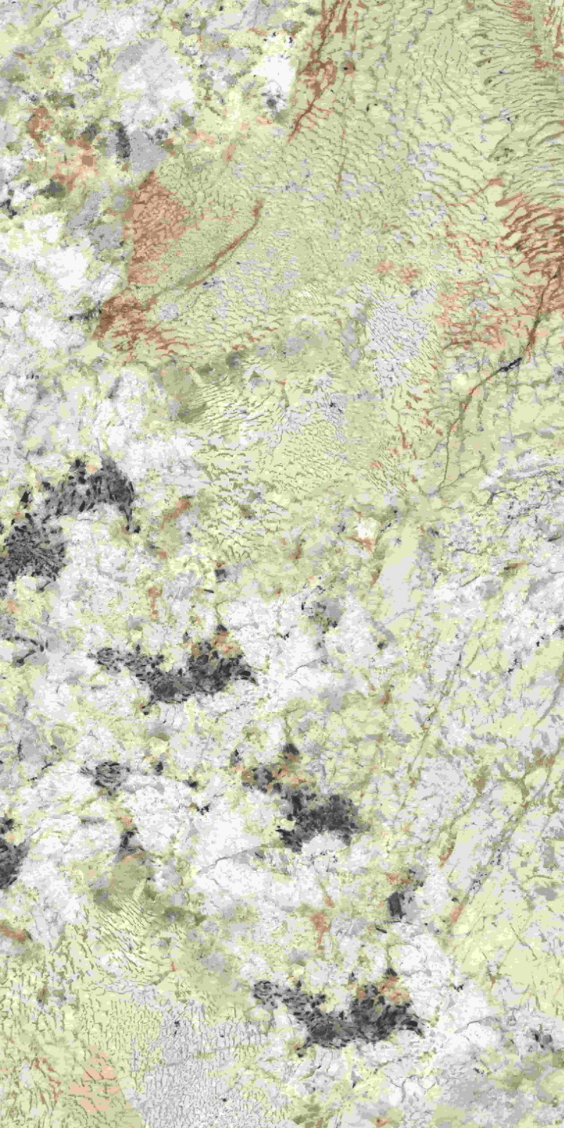 715ABK051 卡地亚金