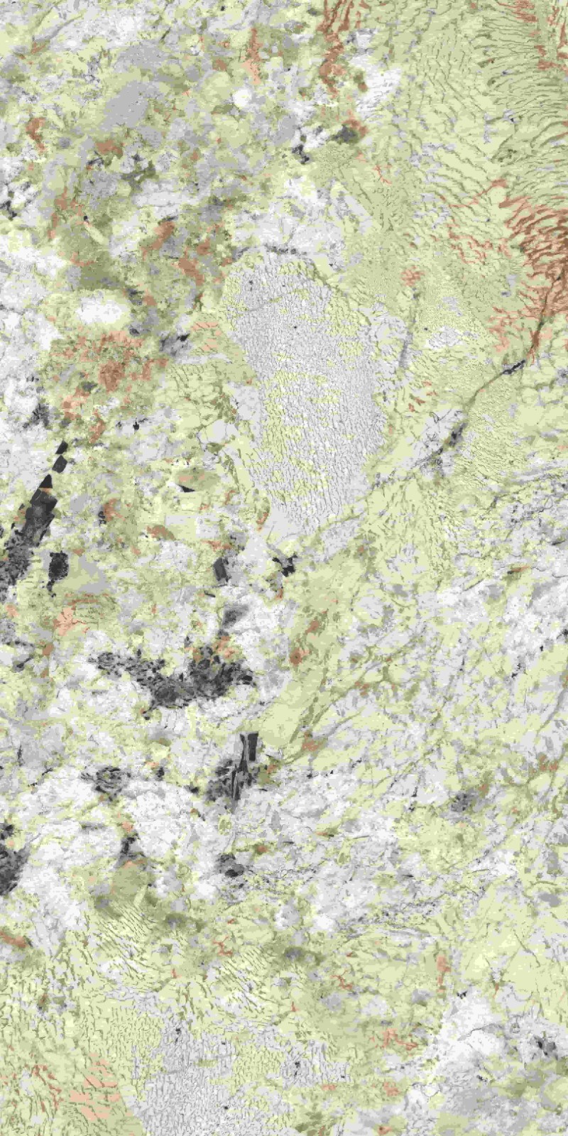 715ABK051 卡地亚金