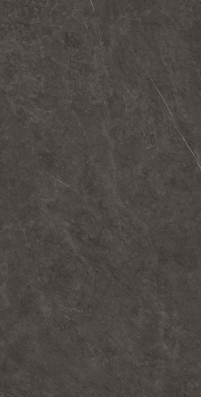 715K1289 保加利亚黑