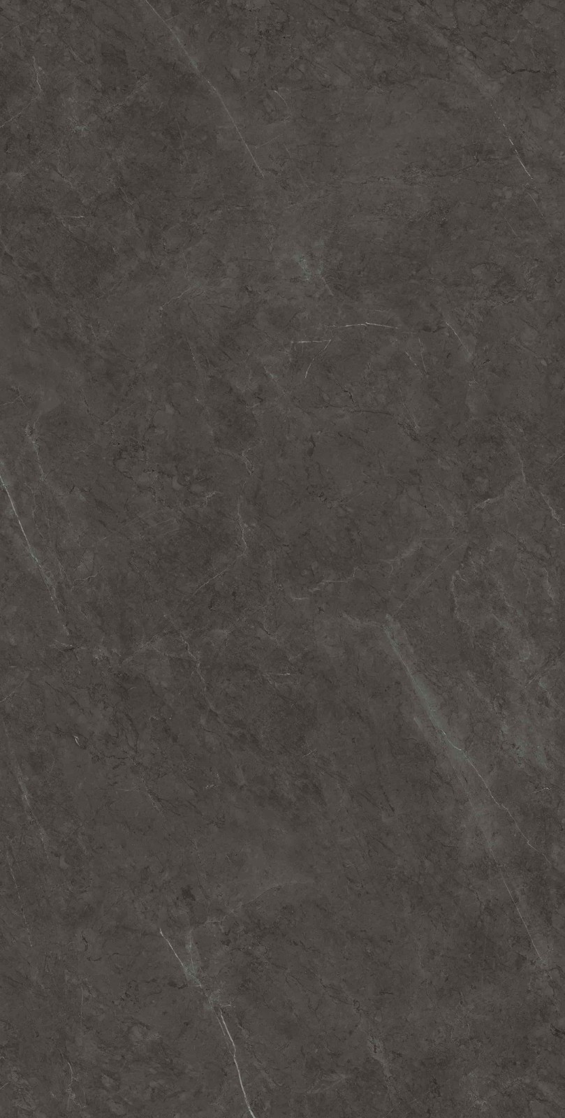 715K1289 保加利亚黑