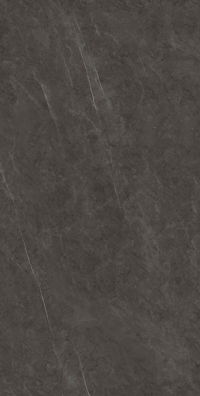 715K1289 保加利亚黑