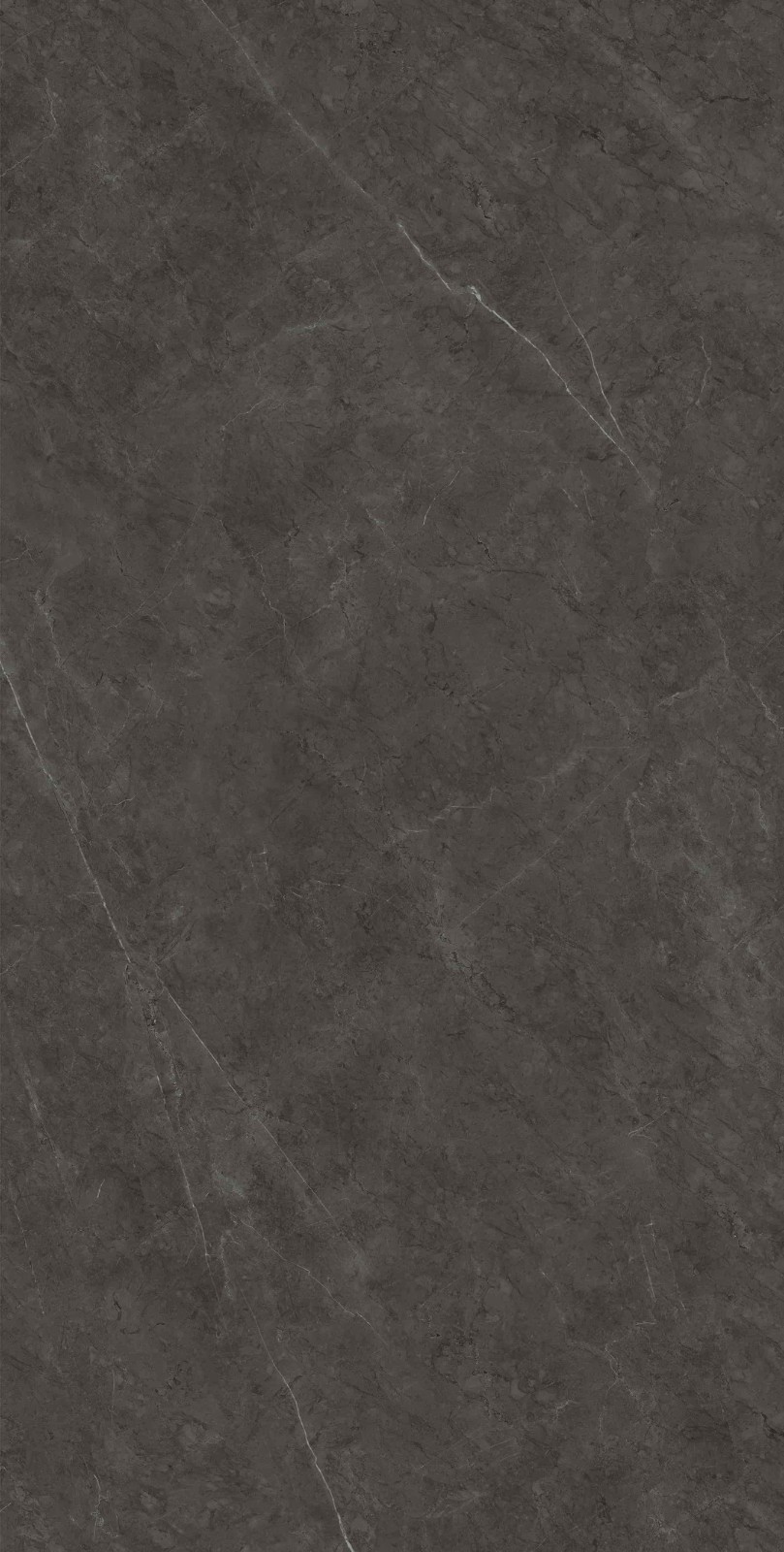 715K1289 保加利亚黑